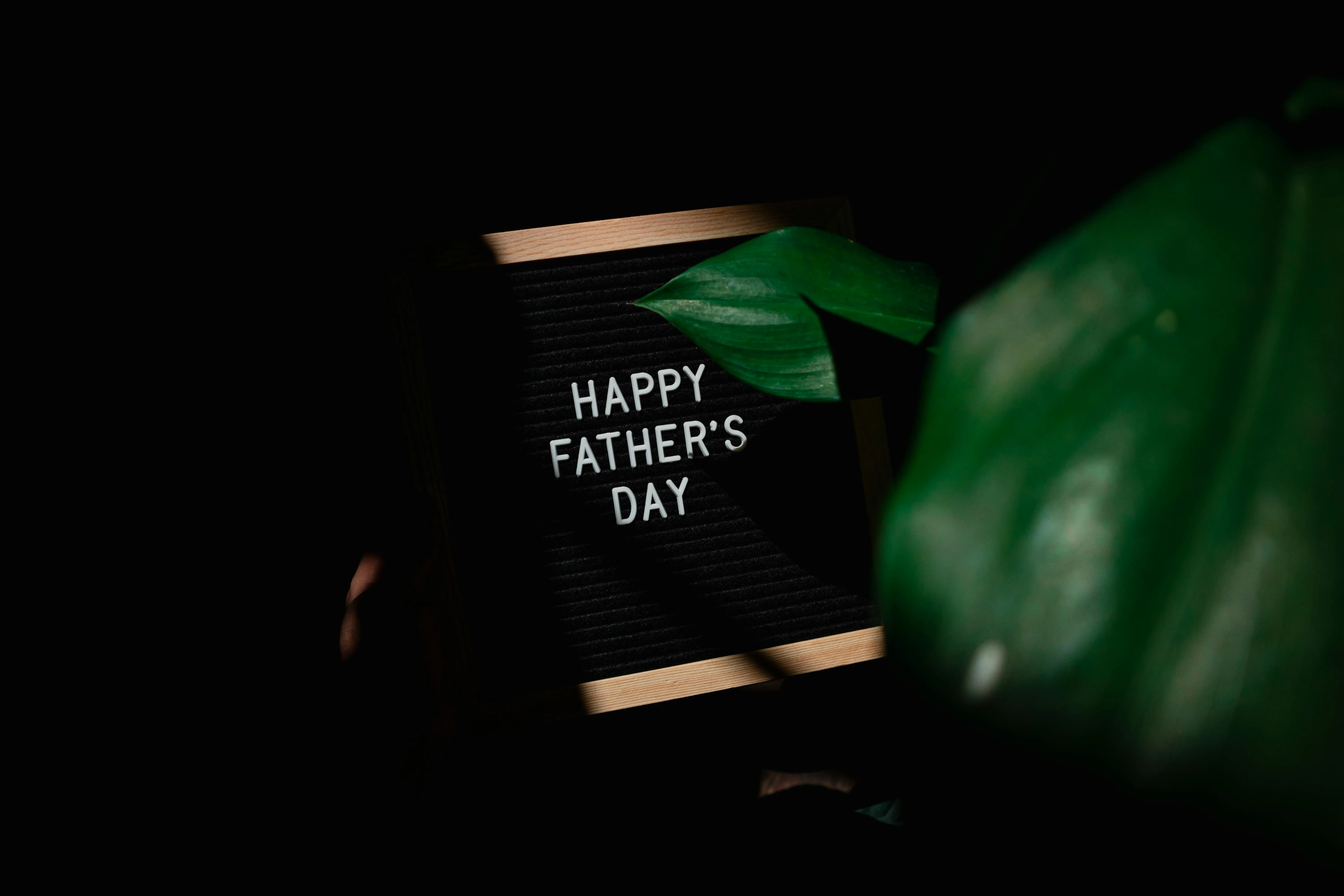 Father's Day 2026: Date, History, How India Celebrates, Best Gifts, Places to Visit